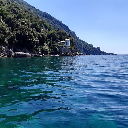 Villa Albachiara 卡莫利 外观 照片