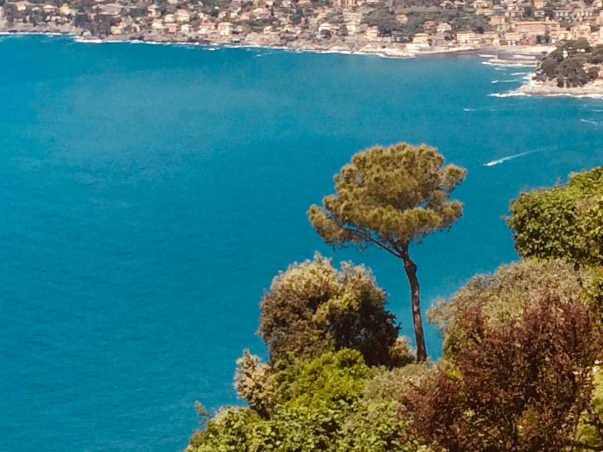 Villa Albachiara 卡莫利 外观 照片