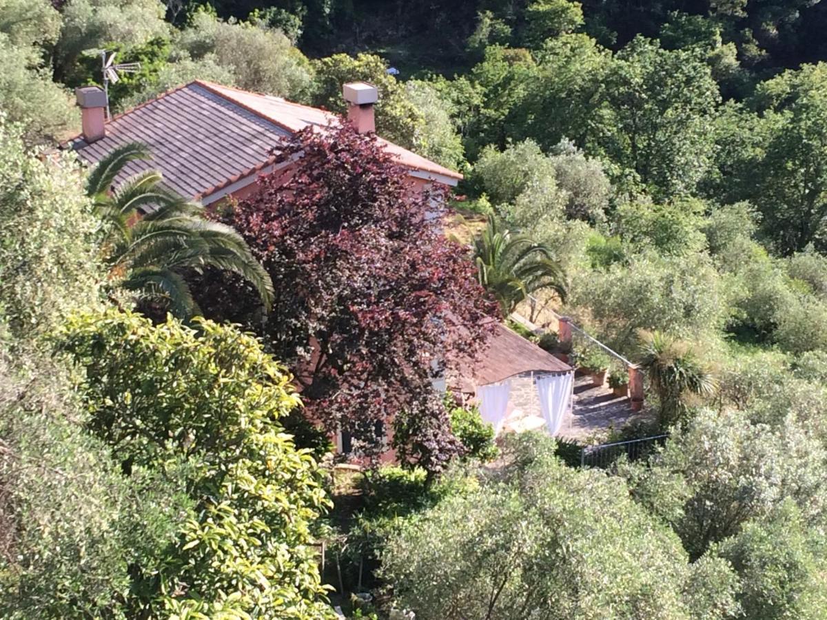 Villa Albachiara 卡莫利 外观 照片