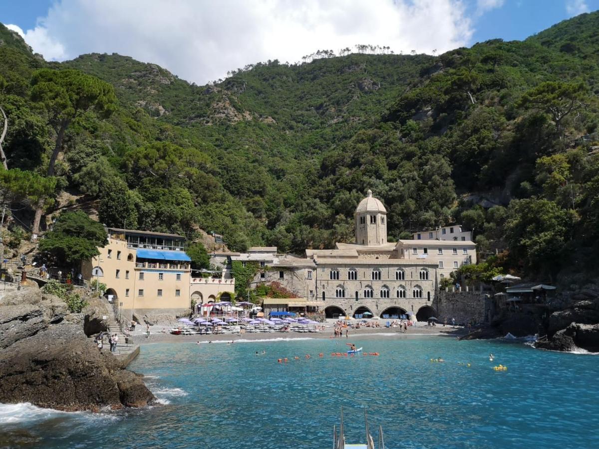 Villa Albachiara 卡莫利 外观 照片