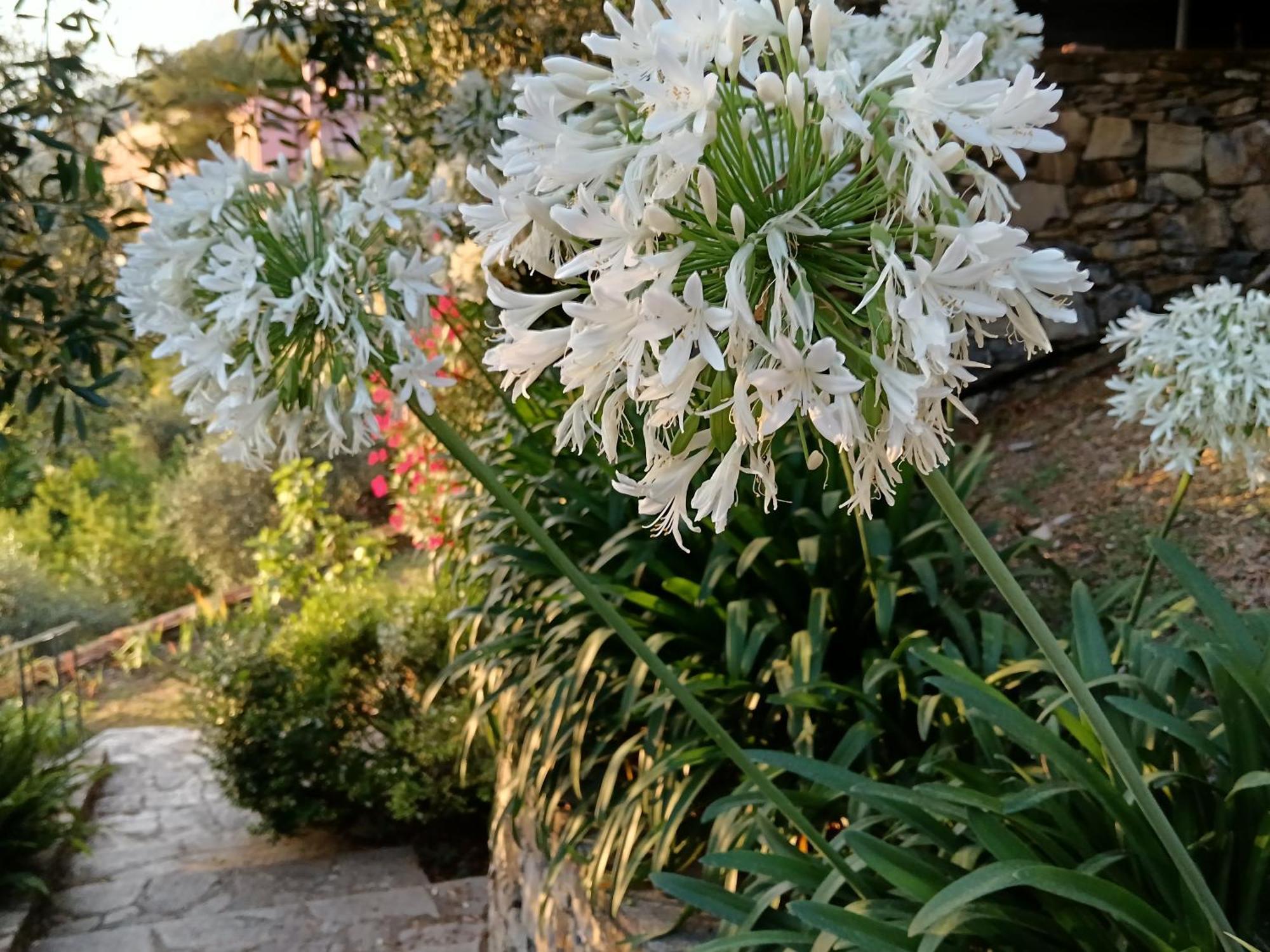 Villa Albachiara 卡莫利 外观 照片