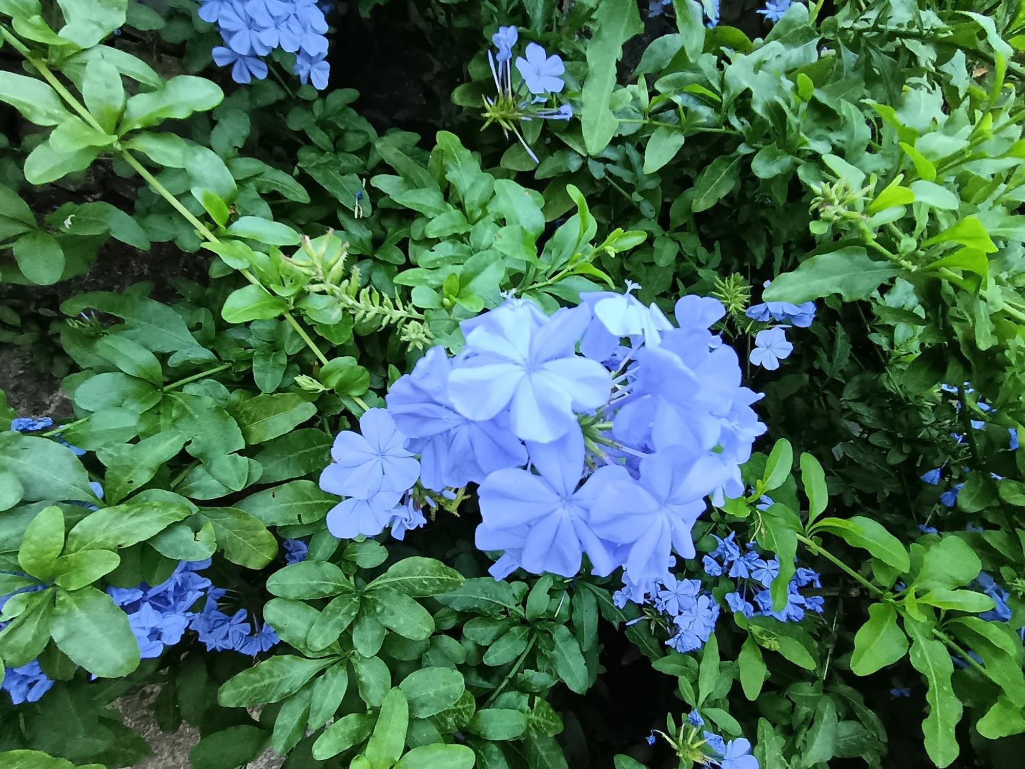 Villa Albachiara 卡莫利 外观 照片