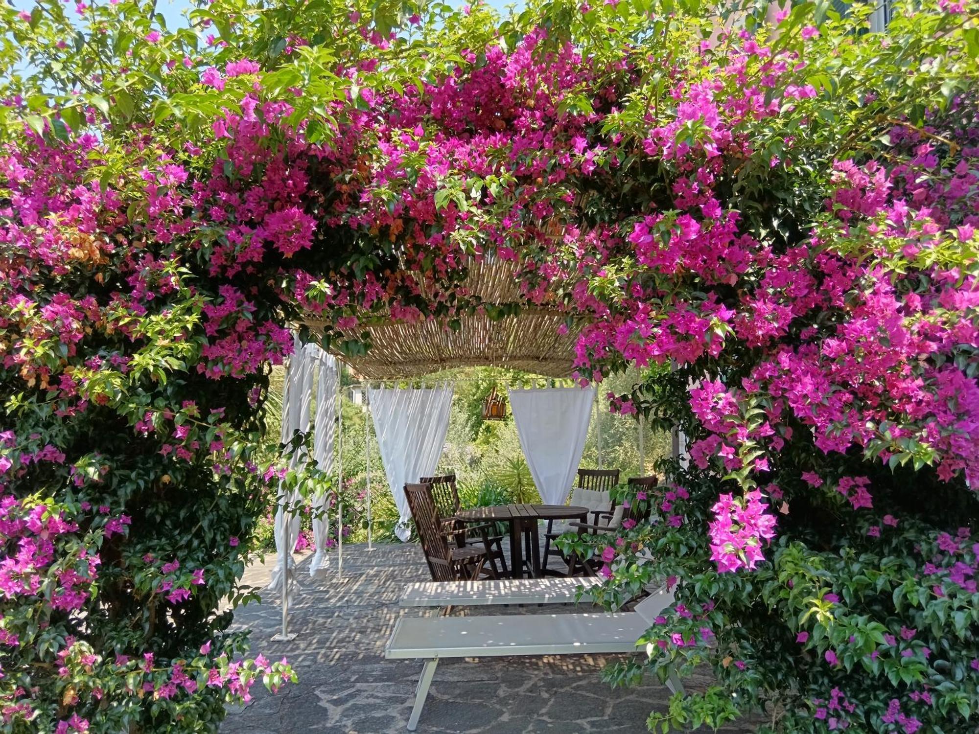 Villa Albachiara 卡莫利 外观 照片