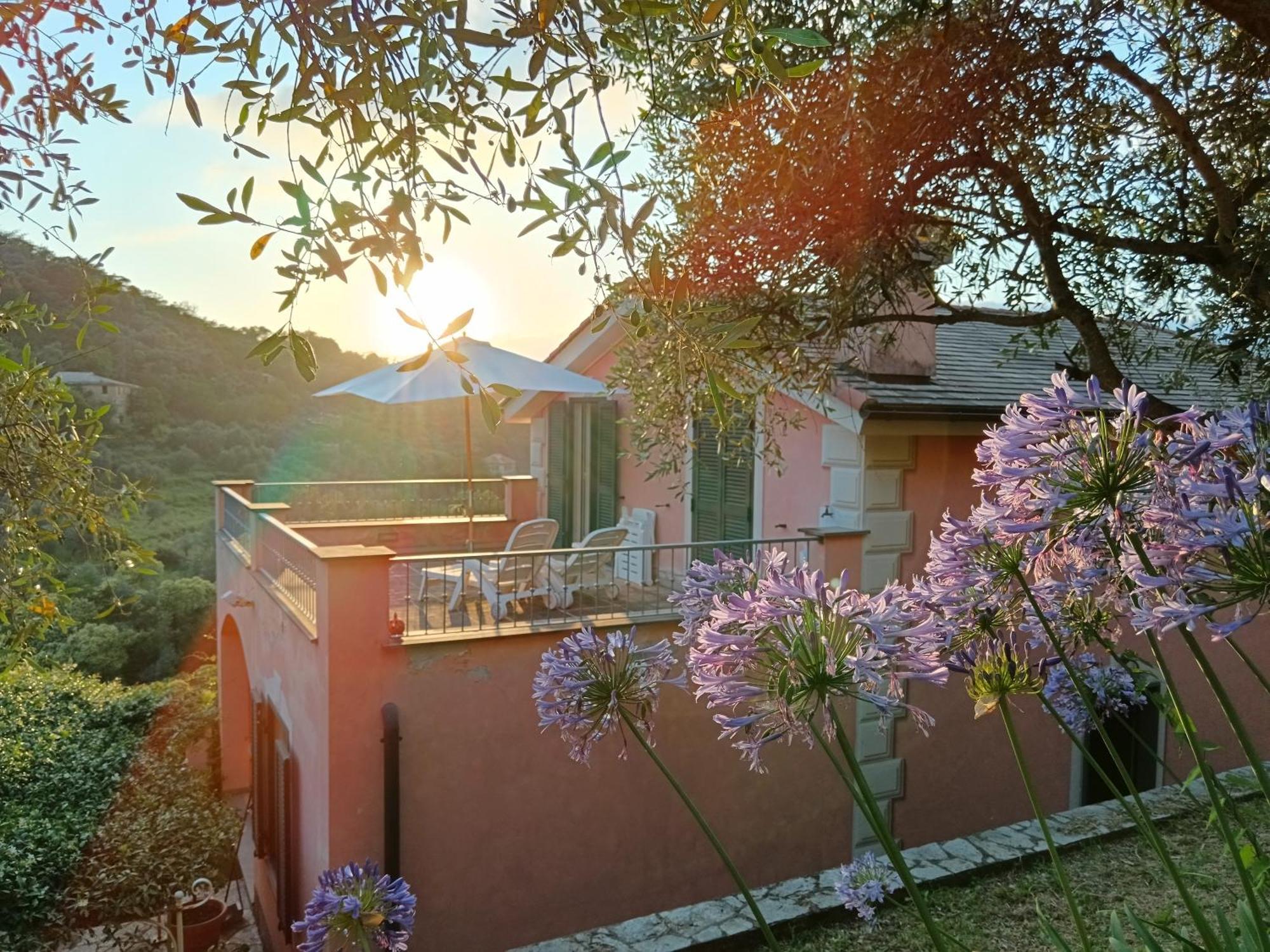 Villa Albachiara 卡莫利 外观 照片