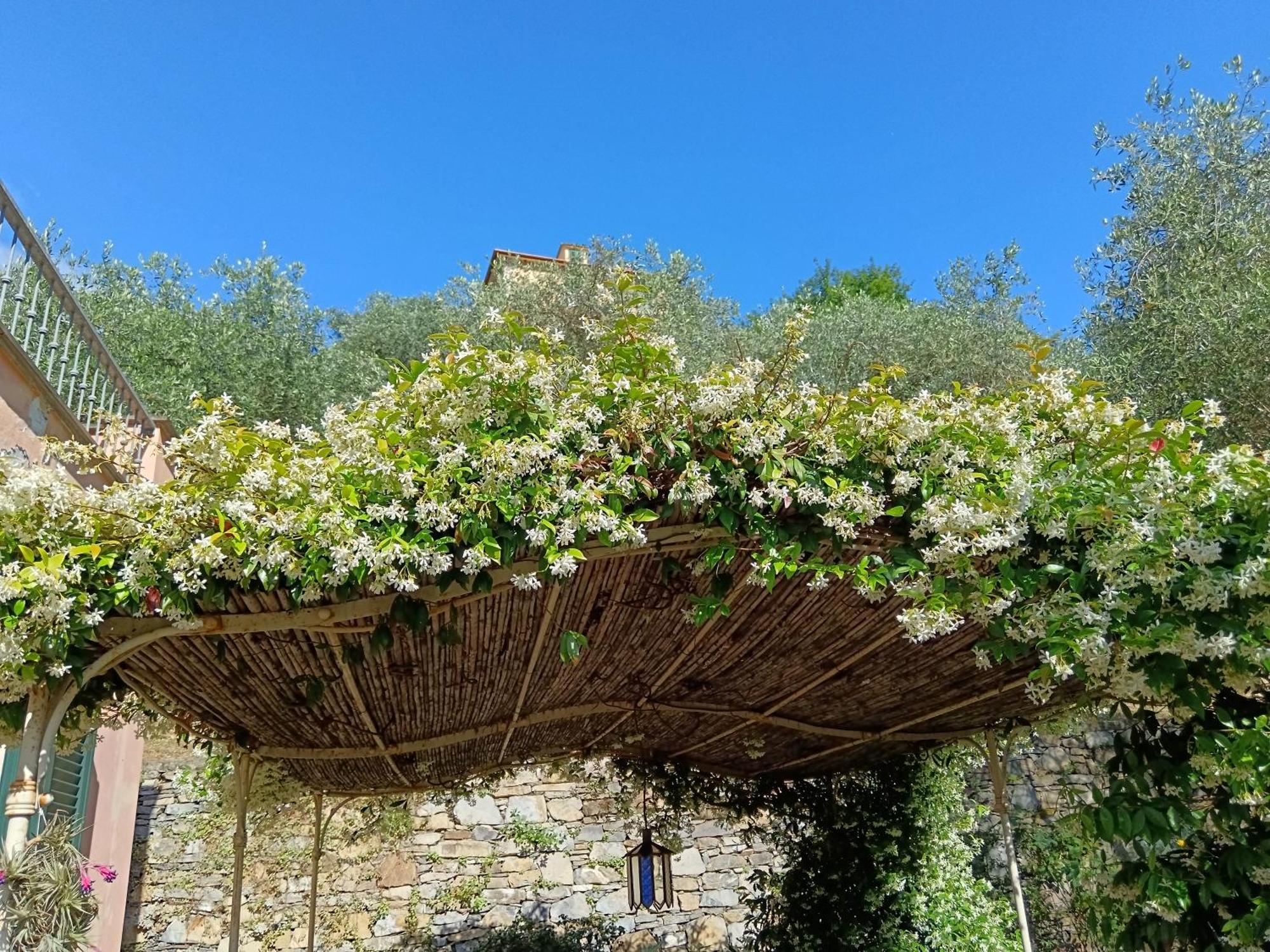 Villa Albachiara 卡莫利 外观 照片