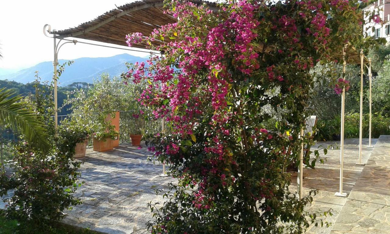 Villa Albachiara 卡莫利 外观 照片