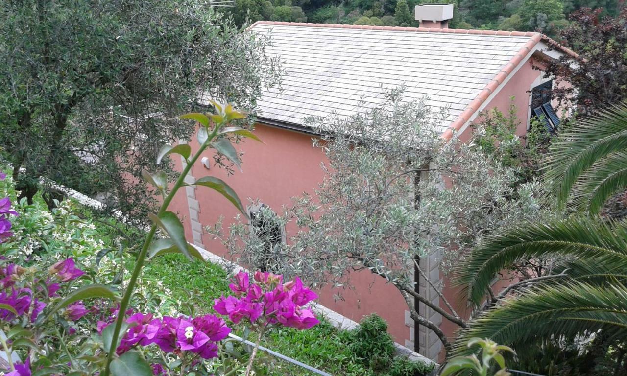 Villa Albachiara 卡莫利 外观 照片