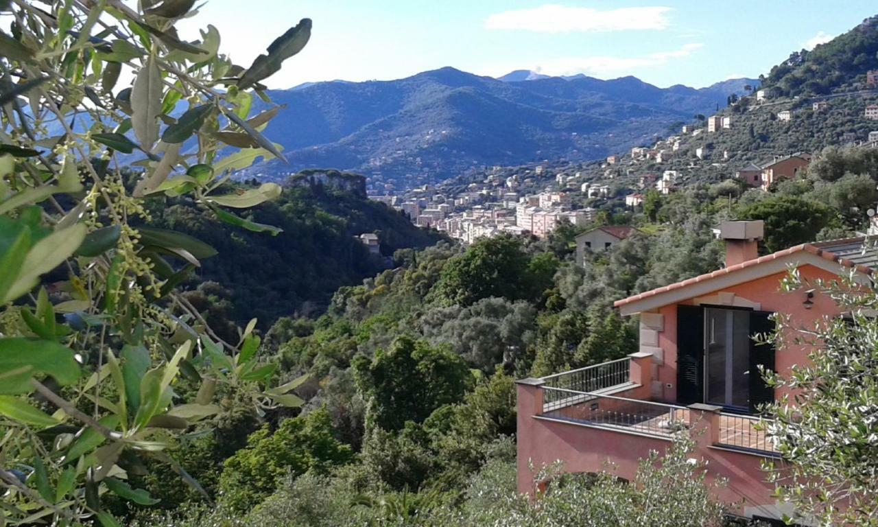 Villa Albachiara 卡莫利 外观 照片