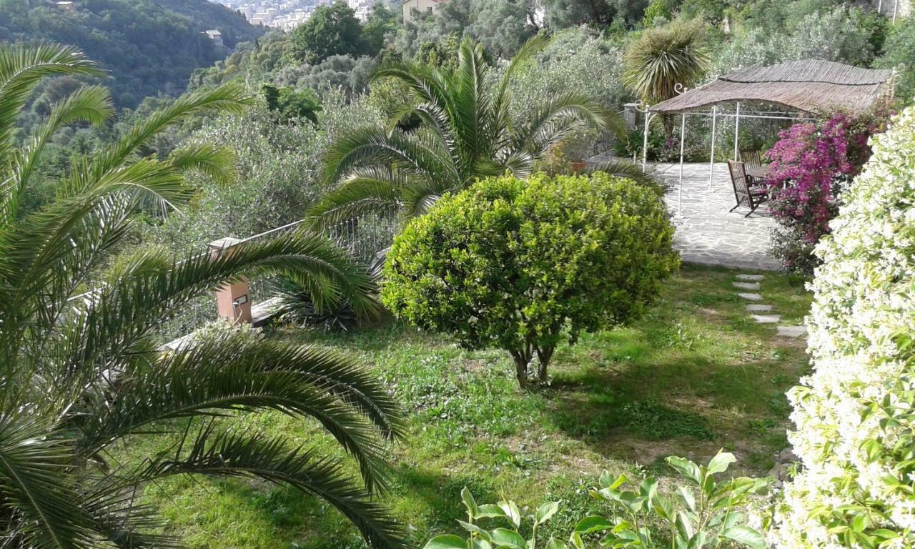 Villa Albachiara 卡莫利 外观 照片